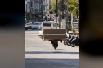 Erbaa’da motosikletle koltuk taşıdı