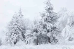 Erzincan için kuvvetli kar yağışı uyarısı