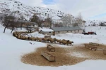 Erzincan’da çiftçilere kar ve tipi uyarısı 