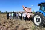 Erzincan’da kuru fasulye hasadı başladı