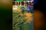 Erzincan’da sağanak yağış etkili oldu