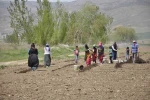 Erzincan’da tarımın görünmeyen kahramanları: Mevsimlik işçiler