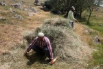 Erzincan’da vatandaşların kış hazırlığı