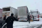 Erzincan’da yolda kalan 200 büyükbaş hayvana yem takviyesi
