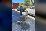 Erzincan’da zamanla yarış mutlu sonla bitti