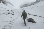 Erzincan’ın yüksek kesimlerine kar yağdı