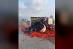 Erzin’de domates yüklü kamyonet takla attı: 2 yaralı