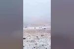 Erzurum’a mevsimin ilk karı yağdı