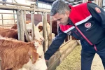 Erzurum’da 2025 yılında üreticiye güçlü destek