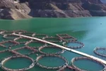Erzurum’da 3,38 milyar destekle 5 bin 226 kişilik istihdam oluştu