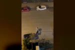 Esenyurt’ta aldatıldığı iddia edilen kadın ortalığı birbirine kattı