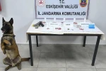 Eskişehir’de uyuşturucu operasyonu, yakalanan 2 şüpheliden 1’i tutuklandı