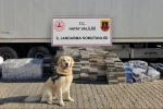 Eşya taşınan tır dorsesinden 3 bin karton kaçak sigara çıktı