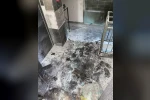 Ev ve iş yeri yangınıyla ilgili 1 kişi tutuklandı