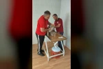 Evcil hayvan sahiplerine mikroçip uyarısı