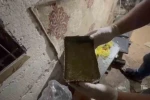 Evde bonzai üretip sattıkları öne sürülen şüphelilere operasyon: 1 tutuklama