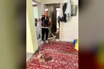 Evde yılan paniği 
