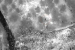 Evden çıkıp kaybolan alzaymır hastası yaşlı kadını AFAD termal kameralı dronla buldu