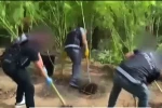 Evlerinin bahçesini uyuşturucu bahçesine çevirmişler 
