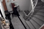 Eyüpsultan’da montunu çuval gibi yapan hırsız girdiği aparmandan 8 çift ayakkabı çaldı