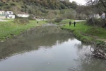 Eyüpsultan’daki gölde balık ölümleri yaşandı