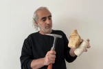 Fahri Çelik’ten "hibrit yapı modeli" önerisi