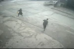 Fareyi süpürgeyle kovaladı, arkadaşı şut atar gibi tekme attı