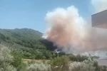 Fethiye’de orman yangını