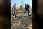Fidanlar toprakla buluştu 