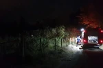 Fındıklıkta yakılan ateş yangına sebep oldu