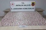 Finike’de uyuşturucu operasyonu: 1 tutuklama
