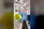 Fırın denetiminde mide bulandıran görüntüler, zabıta böcek çeşitlerini saymakla bitiremedi