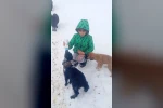 Fırtınada kaybolan kuzu 3 gün sonra sağ bulundu
