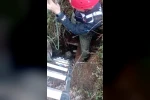 Foseptik çukuruna düşen köpeği itfaiye kurtardı