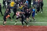 Futbol sahası ringe döndü, 24 kırmızı kart çıktı