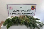 Gaziantep jandarmadan uyuşturucu operasyonu