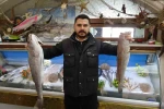Gaziantep’te balık, kebabın tahtını sallıyor