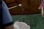 Gaziantep’te evde yılan paniği
