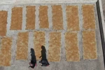 Gaziantep’te kadınların üzüm pekmezli pestil mesaisi başladı