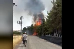 Gaziantep’te orman yangını