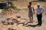 Gaziantep’te yol kenarına bırakılan at kafatası ve kemikleri hayrete düşürdü