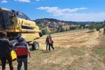 Gediz’de biçerdöverle hasat kontrolü