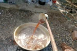 Geleneksel pekmez mesaisi başladı