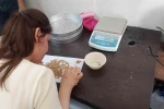 Geliboolu’da TMO alım noktalarında inceleme