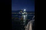 Gemlik Körfezi’nde sardalya avcılığı başladı 
