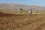 Gercüş’te çiftçiler tohumlarını toprakla buluşturuyor