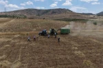 Gercüş’te kavurucu sıcakta ’oyun havalı’ hasat