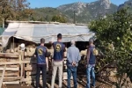 Germencik’te çalınan hayvanlar bulunarak sahibine teslim edildi