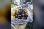 Gıda Hattı’na gelen ihbar ekipleri harekete geçirdi
