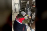 Gıda üretim ve satışı yapan işletmelerine yönelik denetim